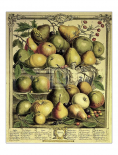 Fruits of the Season - Spring