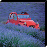 La 2 CV aux lavandes