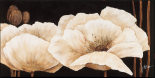Amazing Poppies IV