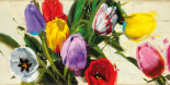 Spring n. 13