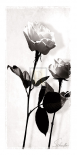 Floral Impressions I
