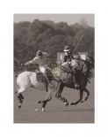 Polo In The Park I