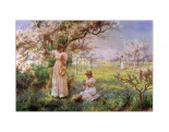 Spring, Picking Flowers