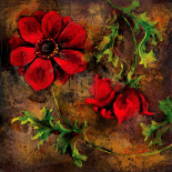 Flowers And Leaves IV