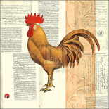 Poulet De Campagne II