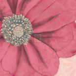 Grandiflora IX