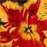 Rosso Fiore I