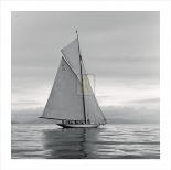 Lady Anne Sailing