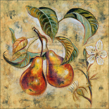 Vintage Blossoms I