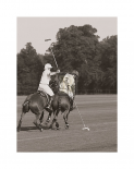 Polo In The Park II
