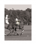 Polo In The Park IV