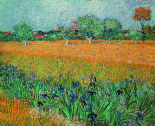 Vista Di Arles Con Iris