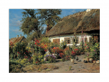Cottage Garden