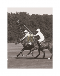 Polo In The Park III