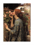 The Soul of the Rose