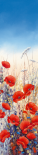 Poppy Field II