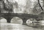 Cambridge Light