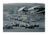 Goodwood