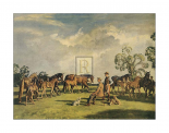 Summer Evening, Clivedon