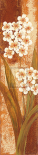 Tropical Blossom II
