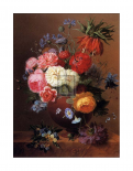 Floral Still Life II