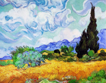 Cornfield with cypresses