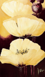 Yellow Poppies IV