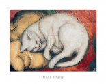 Cat On A Yellow Pillow