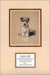 Dog's Life III