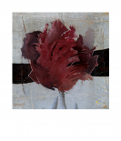 Estella Tulip II