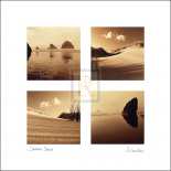 Summer Shores