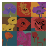 Pop Poppies