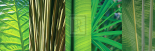 Eco Compostion II