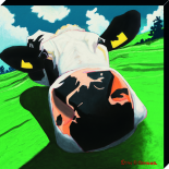 Cow III 