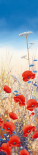 Poppy Field III