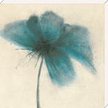 Floral Burst I