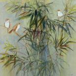 Bambu I