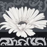 Decor II