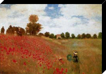 Poppies