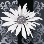 Decor I
