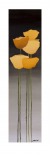 Yellow Flowers I
