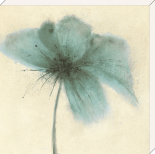 Floral Burst III