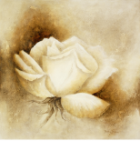 White Rose I
