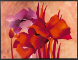 Colourful Flowers II