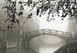 Cambridge Mist