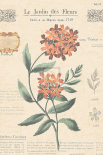 Le Jardin des Fleurs II