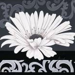 Decor II