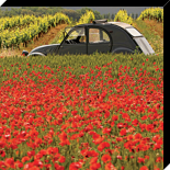 La 2 CV aux coquelicots