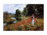 Flowers of the Field
