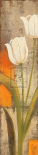 Fresco Flowers II